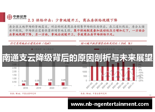 南通支云降级背后的原因剖析与未来展望