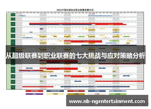 从超级联赛到职业联赛的七大挑战与应对策略分析