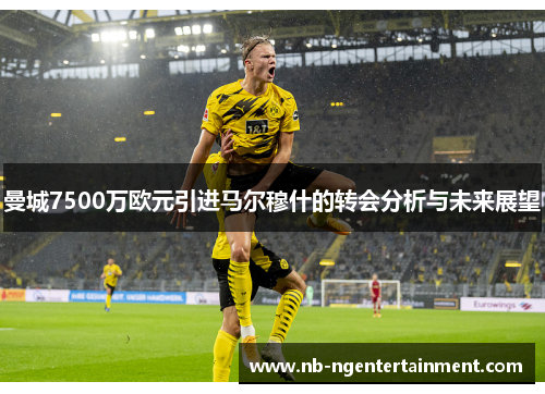 曼城7500万欧元引进马尔穆什的转会分析与未来展望