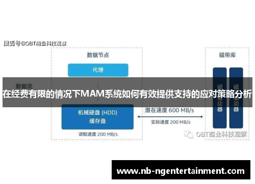 在经费有限的情况下MAM系统如何有效提供支持的应对策略分析