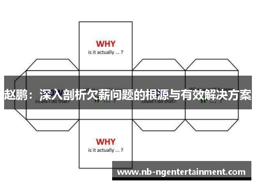 赵鹏：深入剖析欠薪问题的根源与有效解决方案