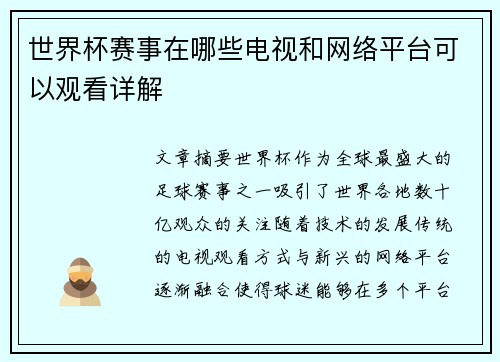 世界杯赛事在哪些电视和网络平台可以观看详解
