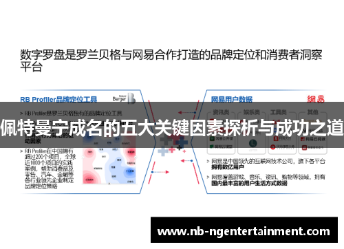 佩特曼宁成名的五大关键因素探析与成功之道