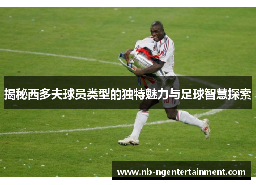 揭秘西多夫球员类型的独特魅力与足球智慧探索