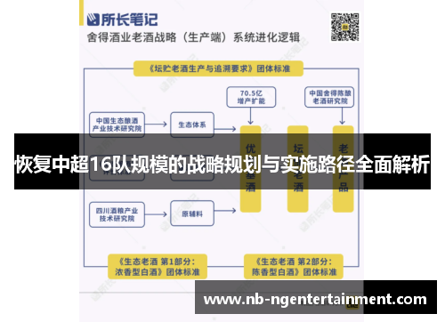 恢复中超16队规模的战略规划与实施路径全面解析