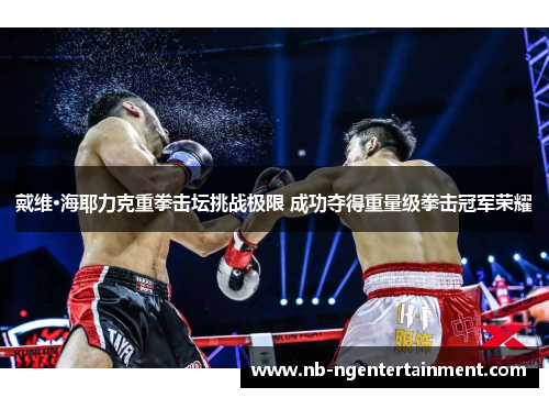 戴维·海耶力克重拳击坛挑战极限 成功夺得重量级拳击冠军荣耀