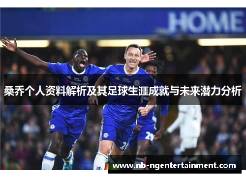 桑乔个人资料解析及其足球生涯成就与未来潜力分析 桑乔个人资料解析及其足球生涯成就与未来潜力分析