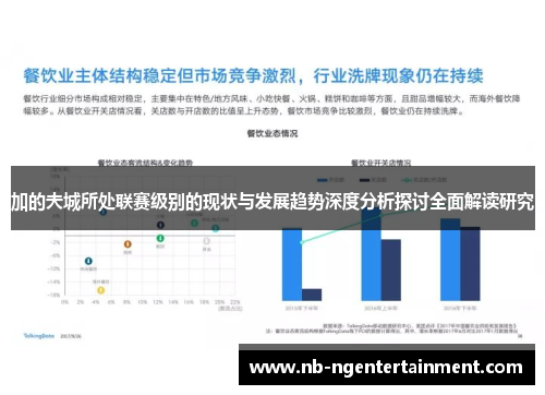 加的夫城所处联赛级别的现状与发展趋势深度分析探讨全面解读研究 加的夫城所处联赛级别的现状与发展趋势深度分析探讨全面解读研究